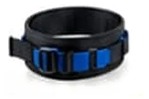 Transfer Belts